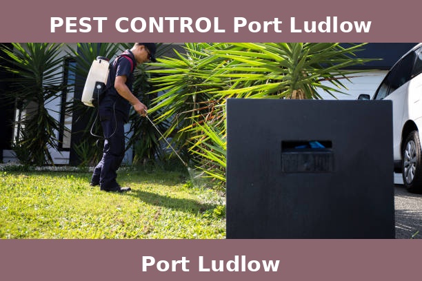 PEST CONTROL Port Ludlow